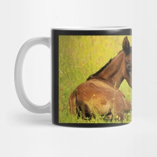 2017 Horse 05 Mug